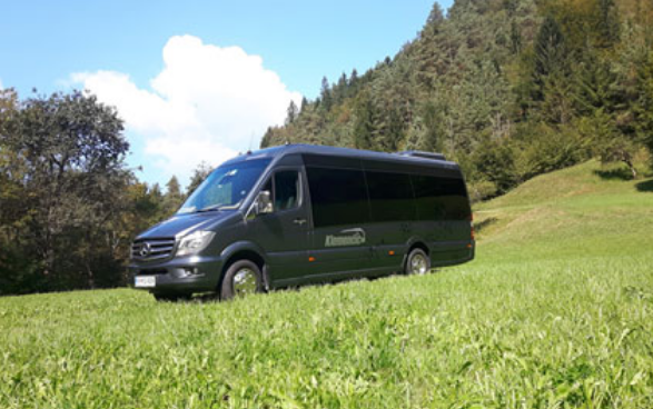 Avtobusni Prevozi Slovenija Klemencic18